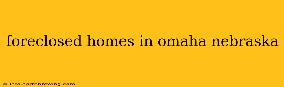 foreclosed homes in omaha nebraska