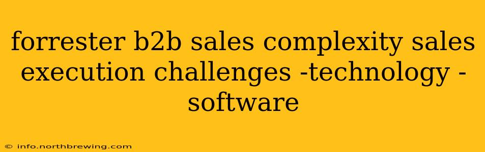 forrester b2b sales complexity sales execution challenges -technology -software