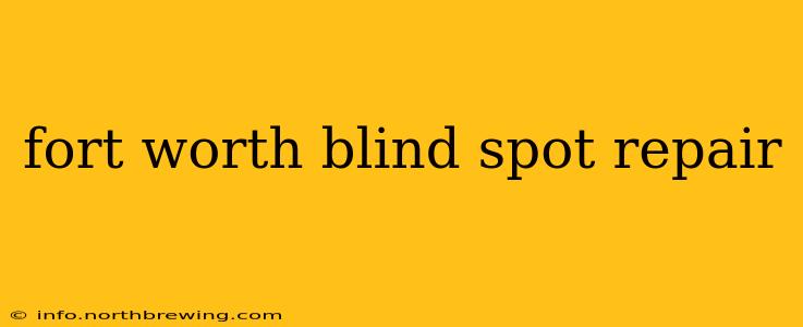 fort worth blind spot repair