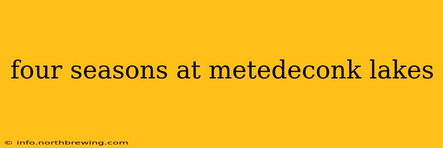 four seasons at metedeconk lakes