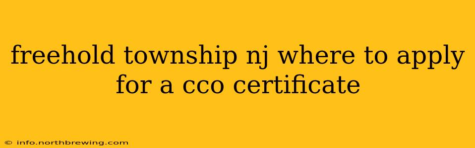 freehold township nj where to apply for a cco certificate