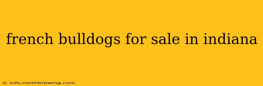 french bulldogs for sale in indiana