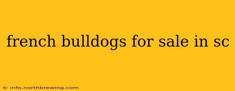 french bulldogs for sale in sc