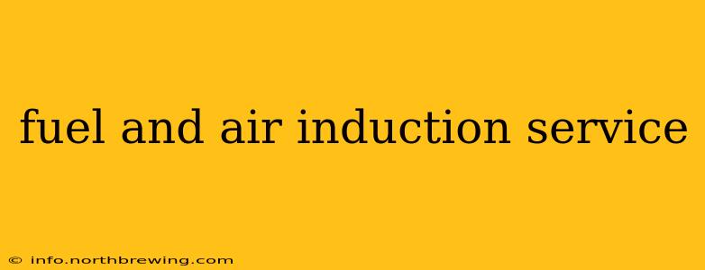 fuel and air induction service