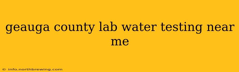 geauga county lab water testing near me