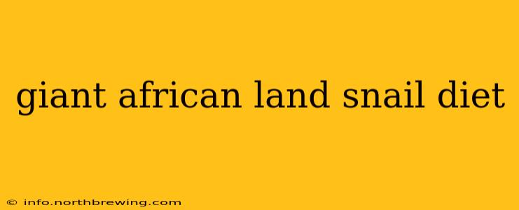 giant african land snail diet