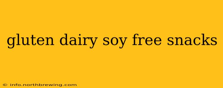 gluten dairy soy free snacks