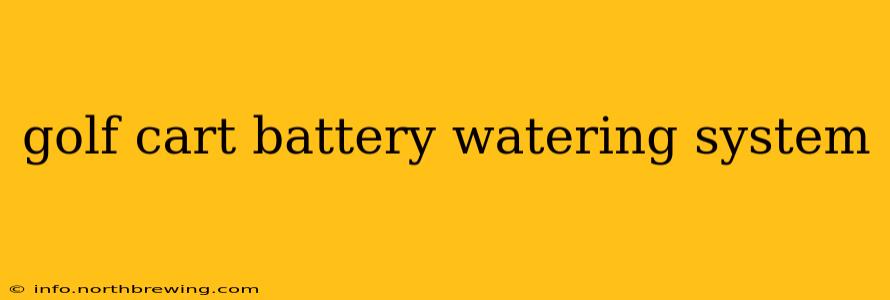 golf cart battery watering system