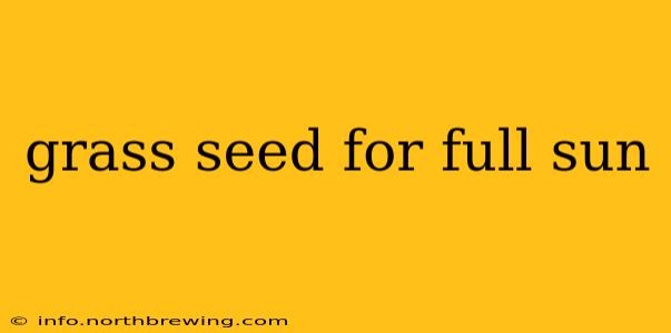 grass seed for full sun