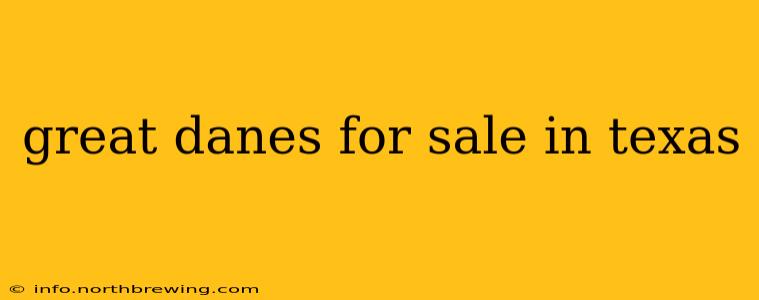 great danes for sale in texas