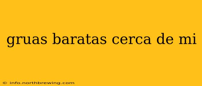 gruas baratas cerca de mi