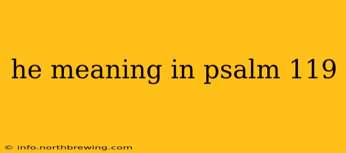 he meaning in psalm 119