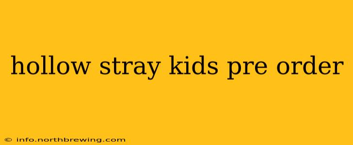 hollow stray kids pre order