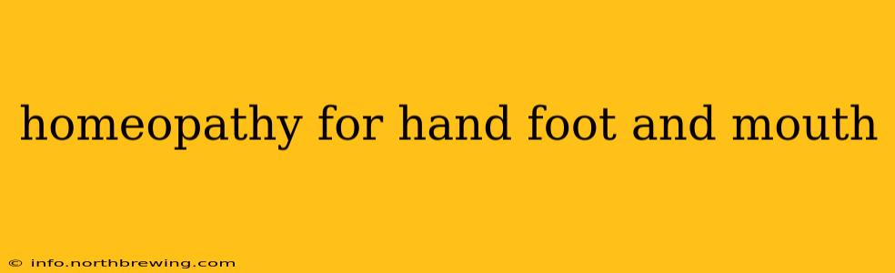 homeopathy for hand foot and mouth