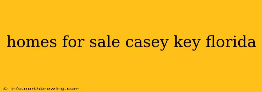 homes for sale casey key florida