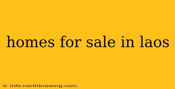homes for sale in laos