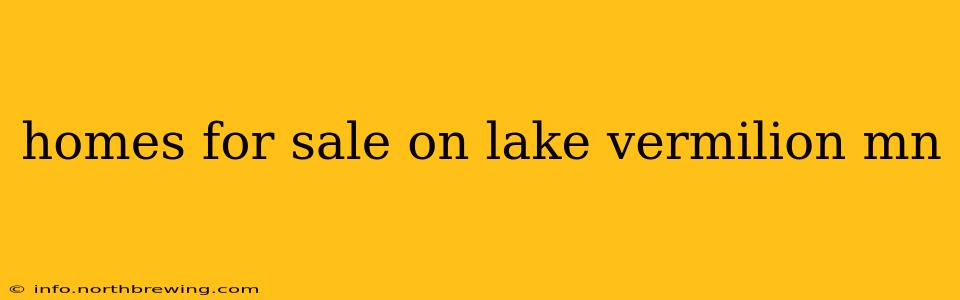 homes for sale on lake vermilion mn