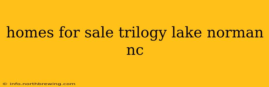 homes for sale trilogy lake norman nc