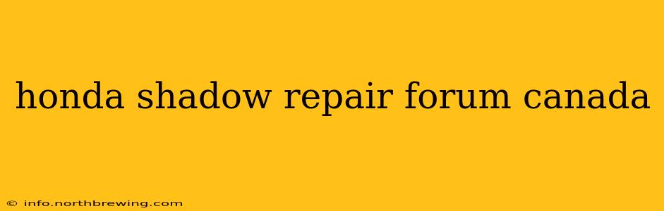 honda shadow repair forum canada
