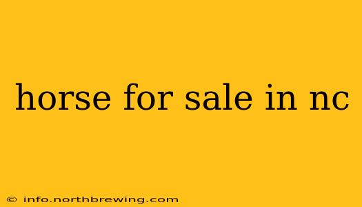 horse for sale in nc