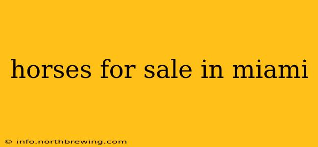 horses for sale in miami