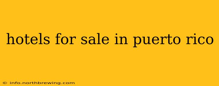 hotels for sale in puerto rico