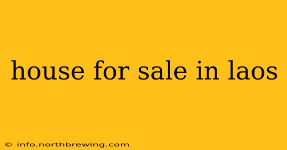 house for sale in laos