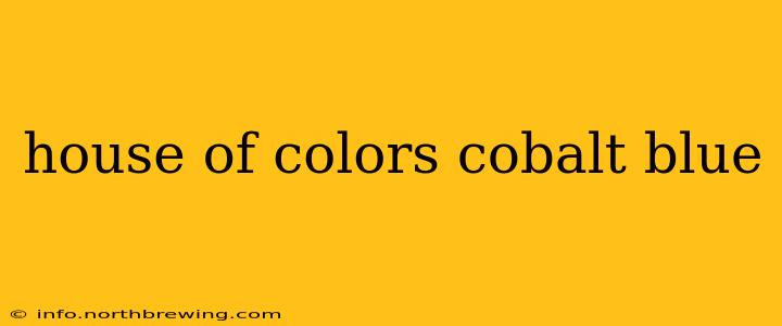 house of colors cobalt blue