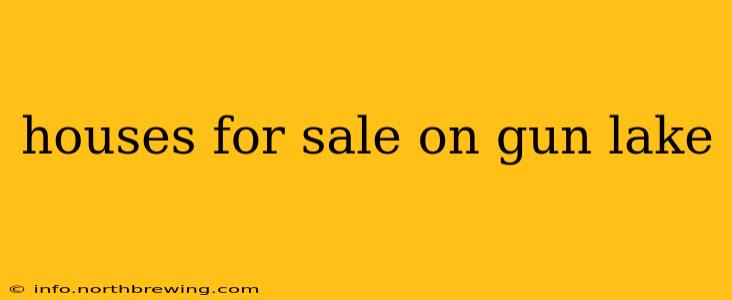 houses for sale on gun lake