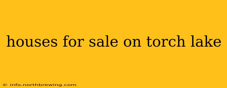 houses for sale on torch lake