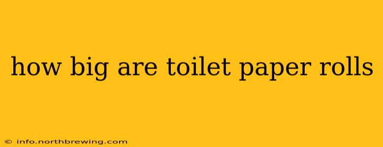 how big are toilet paper rolls