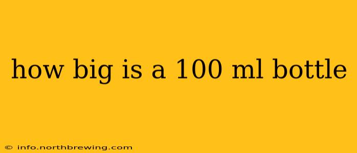how big is a 100 ml bottle