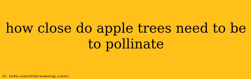 how close do apple trees need to be to pollinate