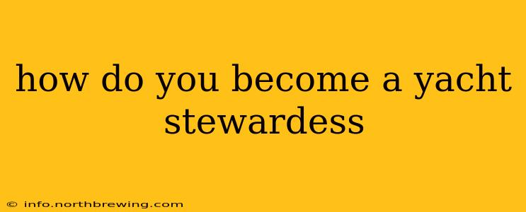 how do you become a yacht stewardess