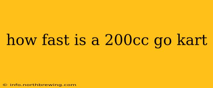how fast is a 200cc go kart