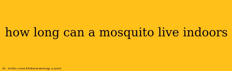 how long can a mosquito live indoors