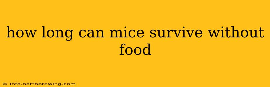 how long can mice survive without food