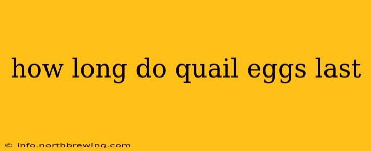 how long do quail eggs last