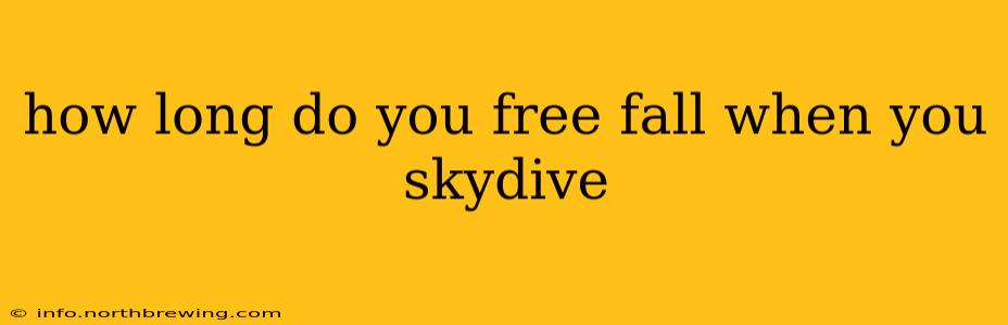 how long do you free fall when you skydive