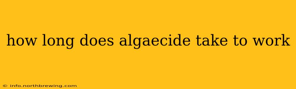 how long does algaecide take to work