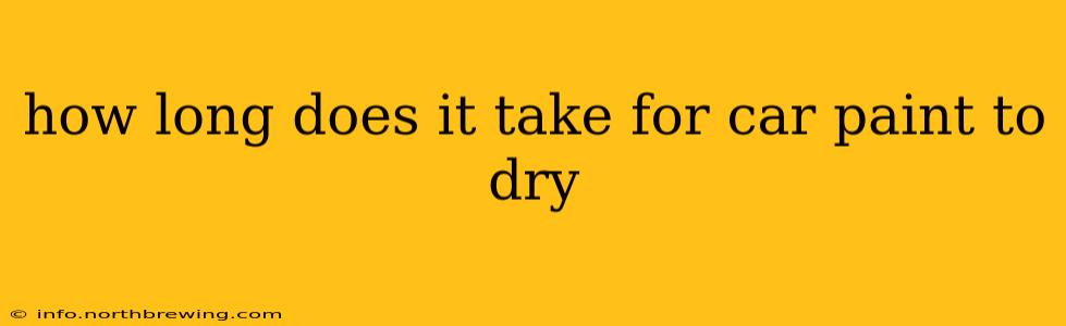 how long does it take for car paint to dry