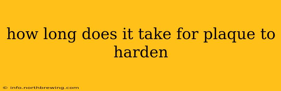 how long does it take for plaque to harden