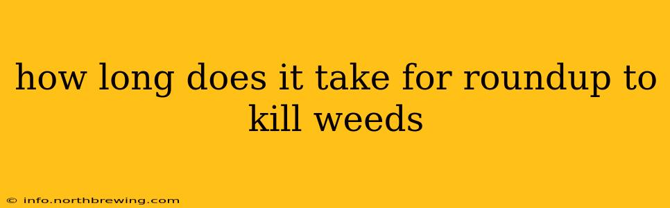 how long does it take for roundup to kill weeds