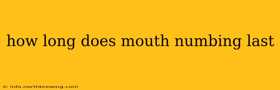 how long does mouth numbing last