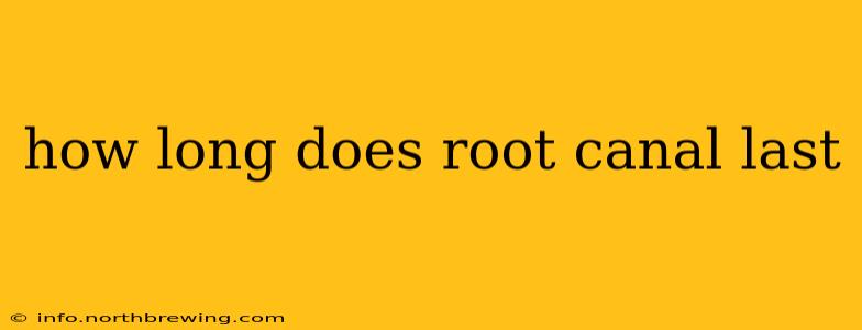 how long does root canal last