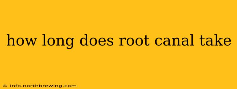 how long does root canal take