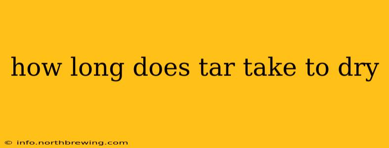 how long does tar take to dry
