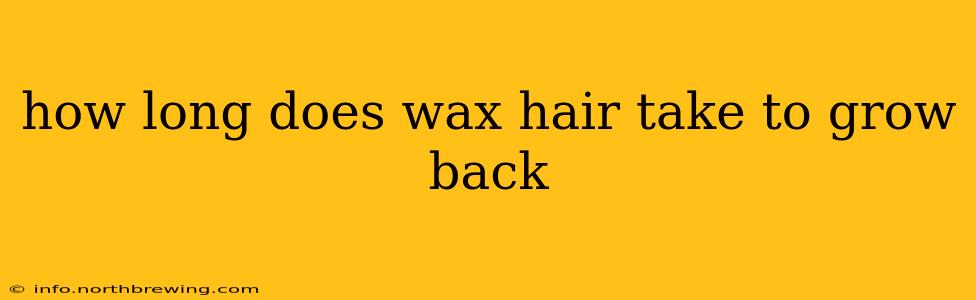 how long does wax hair take to grow back