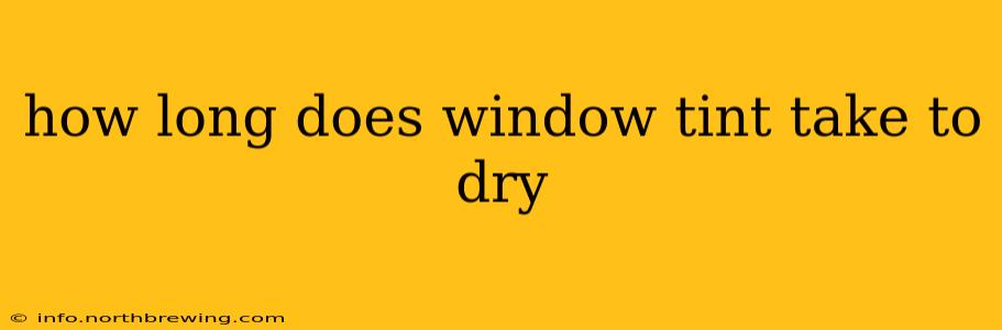 how long does window tint take to dry