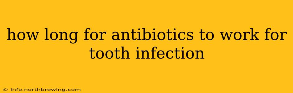 how long for antibiotics to work for tooth infection